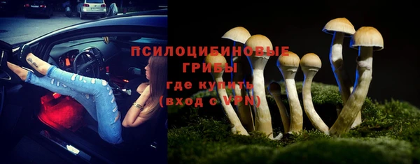 ГАЛЛЮЦИНОГЕННЫЕ ГРИБЫ Горнозаводск