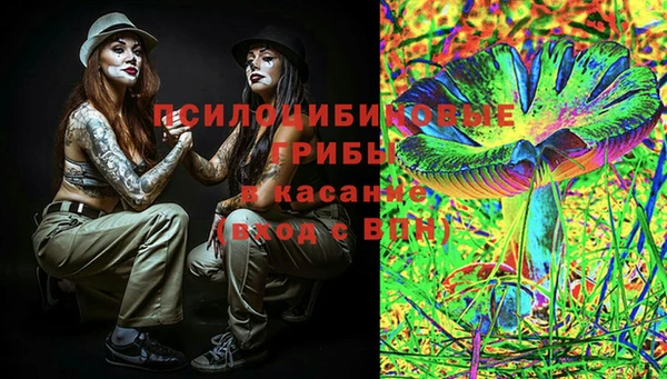 ГАЛЛЮЦИНОГЕННЫЕ ГРИБЫ Горнозаводск