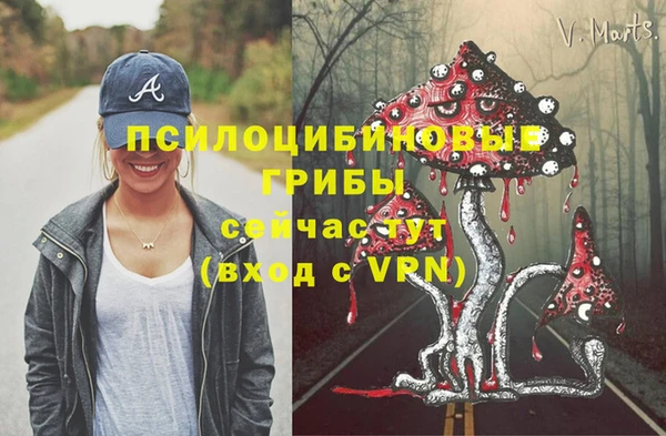 стаф Горно-Алтайск