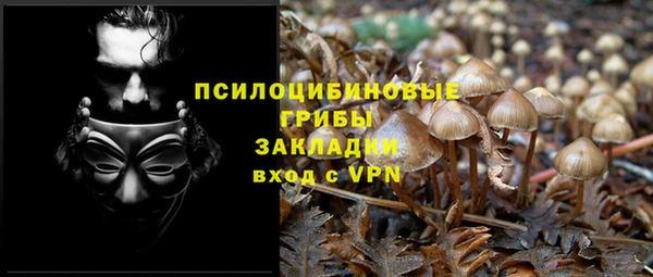 ГАЛЛЮЦИНОГЕННЫЕ ГРИБЫ Горнозаводск